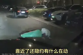 不要压路上的任何东西 #交通安全 #万万没想到 #人性 #内容启发搜索视频封面