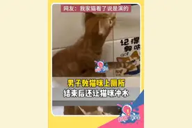绝了！男子教猫咪上厕所，结束后还让猫咪冲水视频封面