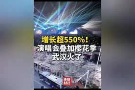 增长超550%！#刀郎演唱会致周边酒店预订量暴涨  #演唱会叠加樱花季武汉火了视频封面