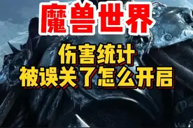 魔兽世界新人0基础攻略！新手误关了伤害统计怎么办？#魔兽世界 #魔兽世界怀旧服 #内容启发搜索 #我们比你们多一个世界 #魔兽世界新手攻略