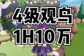 4级观鸟如何一小时10万金？方法来了 #心动小镇