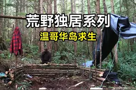 真实荒野求生，捕捉鲑鱼建造住所，荒野独居系列！ 真实荒野求生视频封面