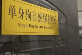 你们见过什么有趣的门牌号吗？11月9日，湖北襄阳。民警夜查高校男寝，发现宿舍门牌都挺有想法。
视频封面