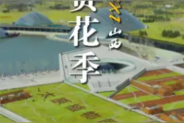 一年春景莫错过，最是花开好看时#山河春意锦绣太原 #花开倾城春满晋阳 视频封面