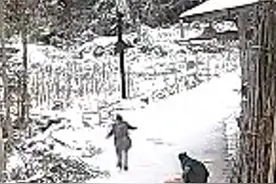 雪天路滑，妈妈摔倒女儿着急去扶结果摔更远：事后妈妈肚子都笑疼，俩人都没受伤【来源：@蒋清朗 】视频封面