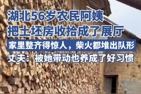 湖北56岁农民阿姨把土坯房收拾成了展厅，家里整齐得惊人，丈夫：她这样坚持30年了（原创采访）视频封面