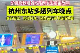 11月28日，沪昆高铁塘雅线路所发生设备故障 #杭州东站多趟列车晚点  最新回应：抢修完成，列车运行秩序逐渐恢复 #杭州  #高铁 #浙江dou知道视频封面