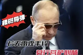 若无霹雳手段，莫行菩萨心肠，榛树高超音速弹道导弹 #俄乌冲突视频封面