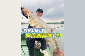 挑战西苕溪野钓大物15天（2），鲢鳙接口狂拉，终于有鱼送了 #原来钓鱼才是抖音运动顶流 #2024dou来钓鱼 #dou是钓鱼人 #秋天正是钓鱼好时节视频封面