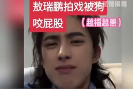 小敖的抽象人生之健康的pg（) #敖瑞鹏 #白月梵星 #娱乐评论大赏 #七根心简视频封面