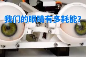 我们的眼睛有多强大，它竟然消耗大脑能量那么大？ #涨知识 #知识视频封面