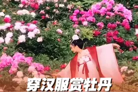 #去菏泽赴一场国色倾城之旅  唯有牡丹真国色，一遇汉服更倾城！这个春天，穿上汉服赏牡丹，去菏泽赴一场国色倾城之旅。 #人间四月牡丹开视频封面