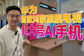 华为首款鸿蒙旗舰电视，超大号的手机？视频封面