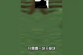 我的世界稻草傀儡 #我的世界