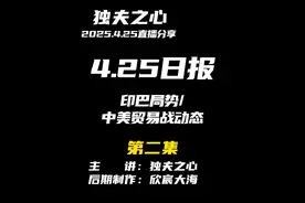 2025.4.25日报第二集（共三集，注意查看主页） 视频封面