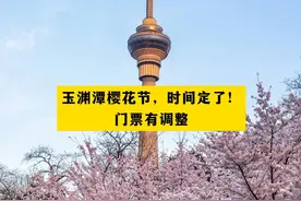 玉渊潭樱花节，时间定了！门票有调整视频封面