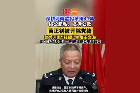 河南省监狱管理局原党委副书记、政委苗正钊被开除党籍 曾为河南“狂飙”主角王文海，成立“狱侦专案组” 刑讯逼供公安局政委 #河南视频封面