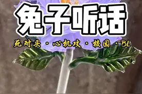 兔子听话 #双男主 #死对头 #心机攻 #小狗攻 #校园