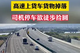 太危险了！高速上货车货物掉落，司机停车欲徒步捡回#高速严禁违法停车 #高速行车安全视频封面