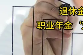 退休金翻倍，职业年金‘双轨缴费’视频封面