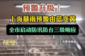 预警升级！#上海暴雨预警由蓝变黄 全市启动防汛防台三级响应#上海暴雨 #暴雨视频封面