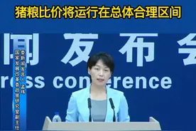 猪粮比价将运行在总体合理区间视频封面
