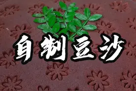 自制豆沙 家庭版自制豆沙的做法分享，做法简单，比买的普通豆沙还好吃！#豆沙做法  #手工制作 #豆沙 #抖音美食推荐官  @抖音短视频