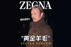 羊毛比羊绒更细？ZEGNA发布最新面料黑科技 #杰尼亚 #ZEGNA #时装周 #羊毛羊绒 #时装设计视频封面