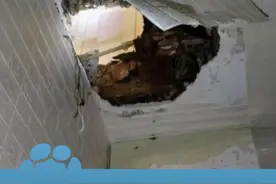 2月18日（报道）上海，从天而降！60多岁女子扫地踩穿楼板，从三楼掉到楼下邻居家！“听到轰隆一声，我们家坐了一个人，说是从楼上掉下来的”视频封面