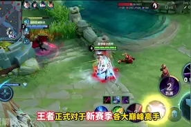 王者正式对于小国标事件进行回应，本周发放的标将有可能被收回