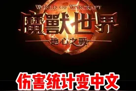 魔兽正式服如何把伤害统计变成中文！#魔兽世界 #魔兽世界新手攻略 #内容启发搜索 #网易大神 #我比你们多一个世界视频封面