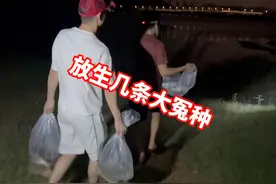 放生了，黄化笋壳鱼、变异江团这几条大冤种你们都还记得吗？
