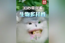 #国际生物多样性日   #中国是世界上生物多样性最丰富的国家之一  #守护生物多样性视频封面