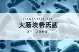 细菌科普小课堂：大肠埃希氏菌 #科普一下 #普及知识 #涨知识