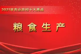 2021年农业农村十大亮点（粮食生产篇）：粮食产量创新高视频封面