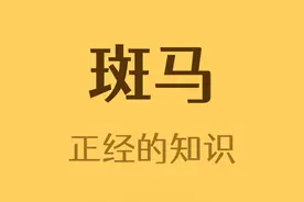 斑马是有黑条纹的白马，还是白条纹的黑马？视频封面