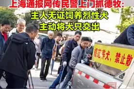 10月24日，上海，吴淞街道办事处就“网传警方上门抓走德牧”一事发布通报：主人无证饲养烈性犬，且有多次遛狗不牵绳、大型犬不戴嘴套等违规养犬行为。视频封面