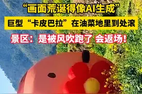 不是AI！#巨型卡皮巴拉油菜花田打滚  （供稿：上虞融媒体章怡晨）视频封面