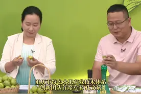 重庆巫山脆李一口爆汁！还被称为“可以吃的化妆品”，营养丰富，对皮肤超好！巫山脆李不愧是“中华名果”。#2024巫山脆李专场直播视频封面