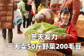 野菜婆婆发力了，大量野菜进入重庆菜市场，确实给大家带来了快乐视频封面