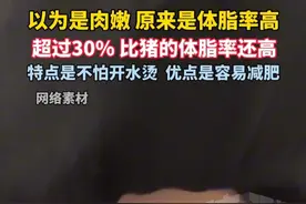 #以为是肉嫩其实是体脂率太高  ！这种肉特点是不怕开水烫，优点是容易减肥！#科普  #减肥