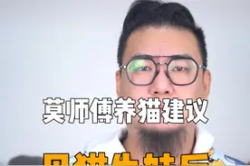 生娃并不能给猫崽子完整的猫生，还有可能，会让她失去点什么 #新手养猫 #科学养猫 #正直的莫师傅 #猫绝育 #被迫营业的猫猫视频封面