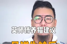 生娃并不能给猫崽子完整的猫生，还有可能，会让她失去点什么 #新手养猫 #科学养猫 #正直的莫师傅 #猫绝育 #被迫营业的猫猫视频封面
