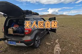 车坏在无人区一天一夜，没有信号，只能想办法自救！ #自驾游视频封面