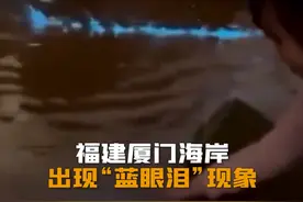 福建厦门海岸出现“蓝眼泪”现象视频封面