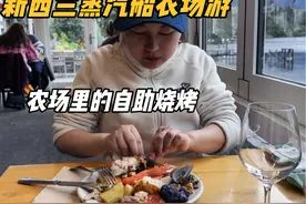 新西兰自驾游第11天，终于到达皇后镇，参加蒸汽船农场游活动视频封面