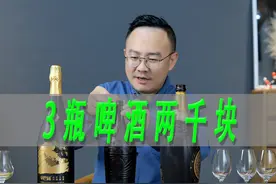 3款国内顶级啤酒对比，青岛一世传奇、辛巴赫桶贮9号、雪花醴视频封面