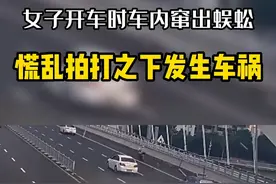 女子开车时车内窜出蜈蚣，慌乱之下失控翻车视频封面