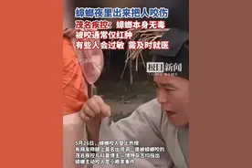 蟑螂夜里出来把人咬伤，茂名疾控：被咬后通常仅红肿，有些人会过敏，需及时就医