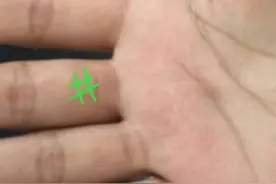 中指的3种纹路，代表你的财富、福气、健康，你知道吗？ #看相视频封面